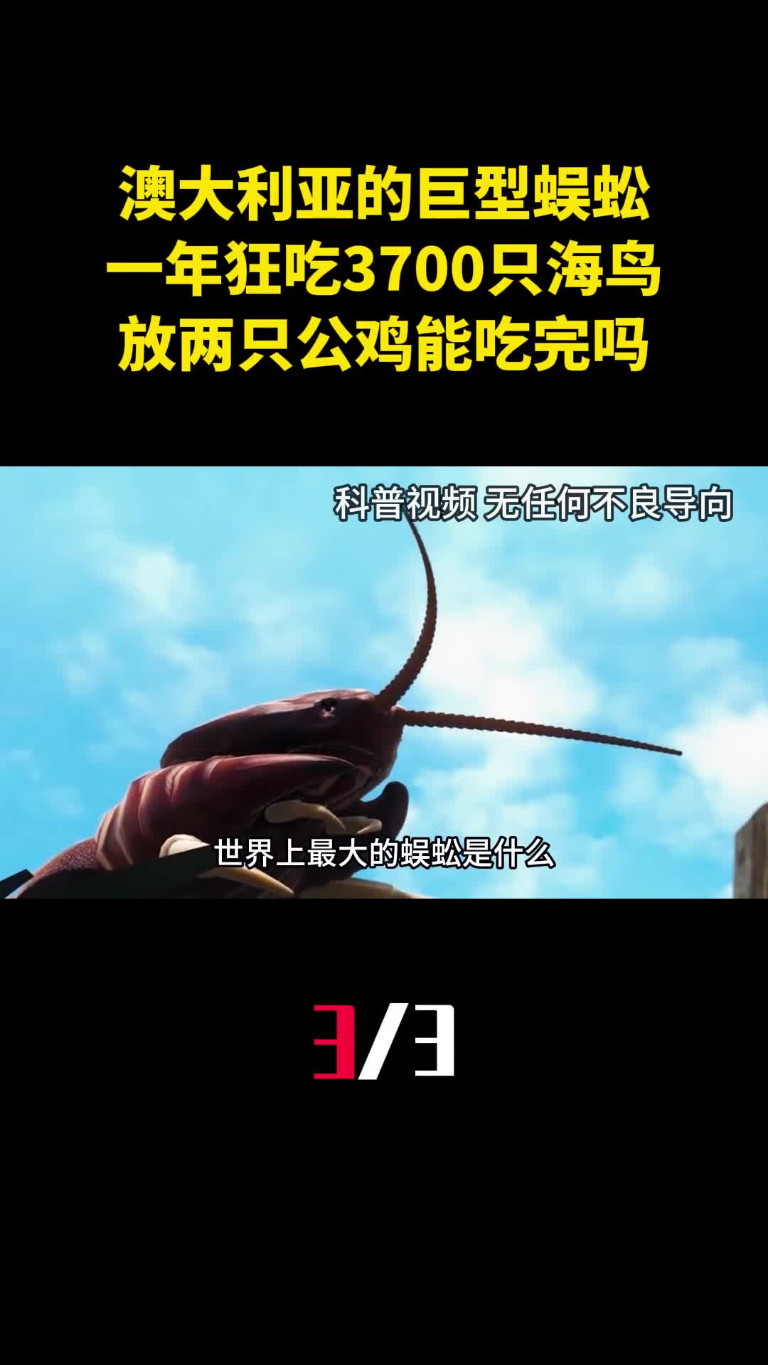 澳大利亚的巨型蜈蚣一年狂吃3700只海鸟放两只公鸡能吃完吗3