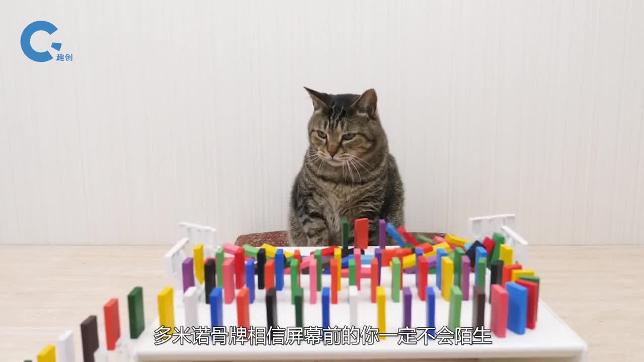 不可思议的多米诺效应一指之力就能推倒整栋大厦你知道原理吗