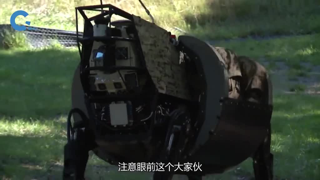 什么是阿尔法牛能驮运180公斤物资