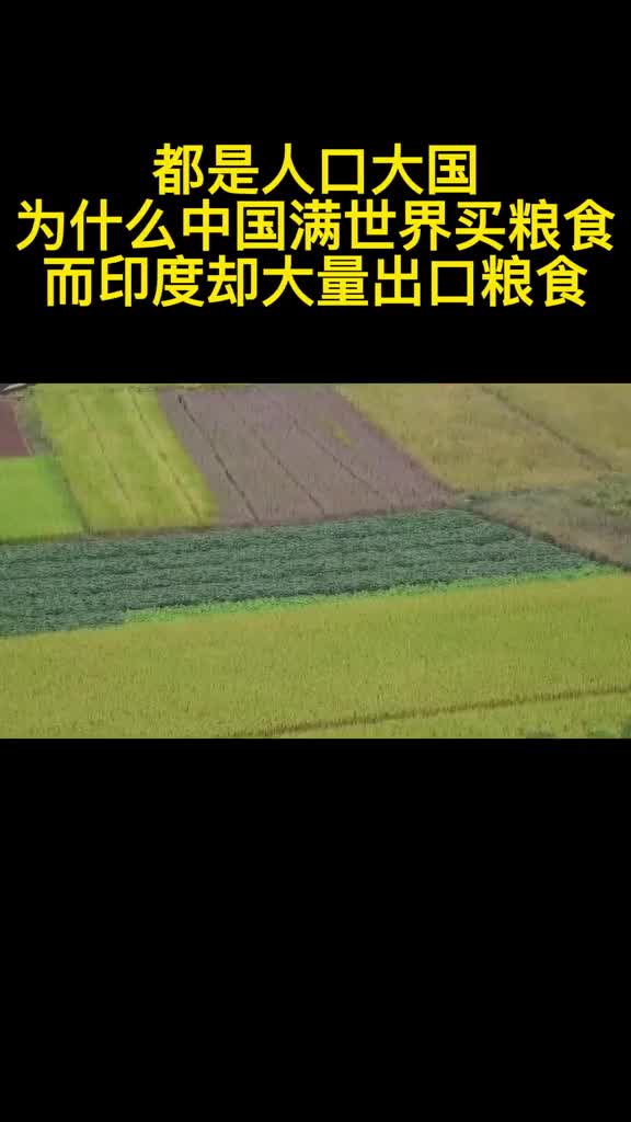 都是人口大国为什么中国满世界买粮食而印度却大量出口粮食2