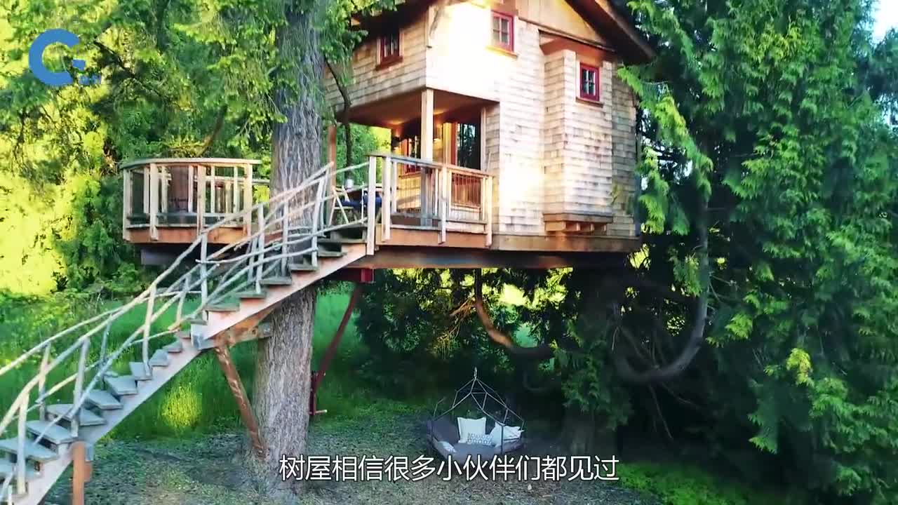 25岁小哥耗时一年在9米高的大树上建房子竟每天蹬自行车进屋