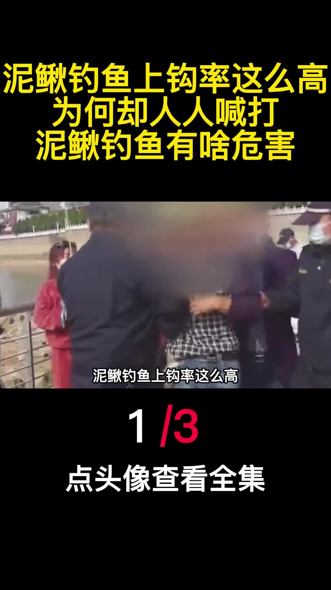 泥鳅钓鱼上钩率这么高为何却人人喊打泥鳅钓鱼有啥危害1