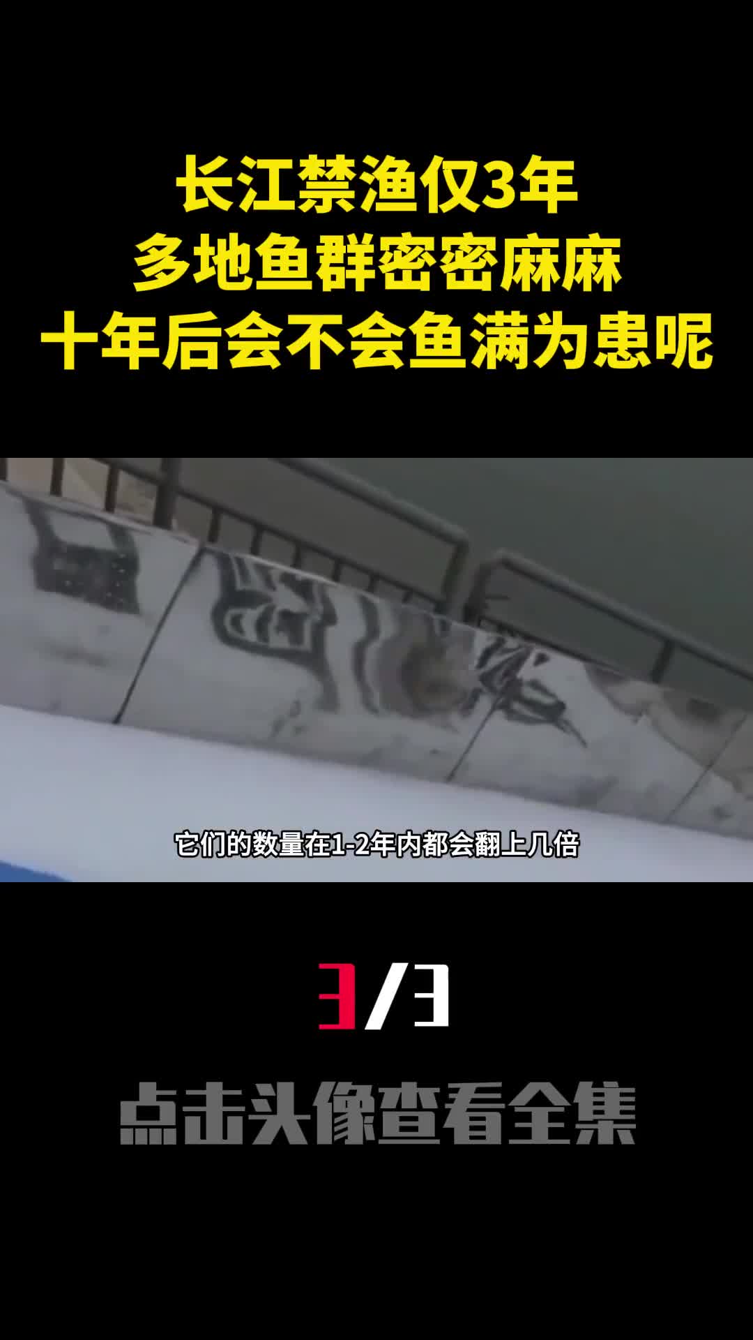 长江禁渔仅3年多地鱼群密密麻麻十年后会不会鱼满为患呢3