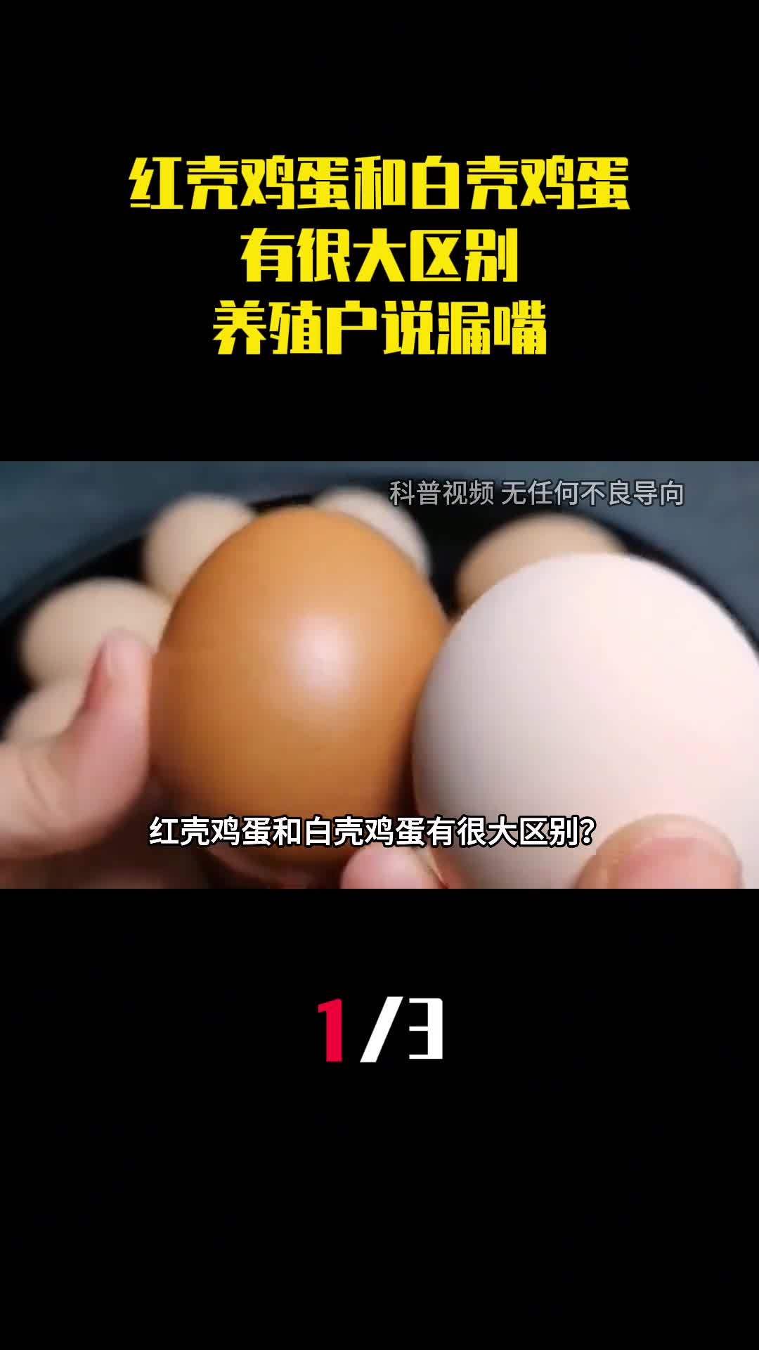 红壳鸡蛋和白壳鸡蛋有很大区别养殖户说漏嘴以后别再买错了1