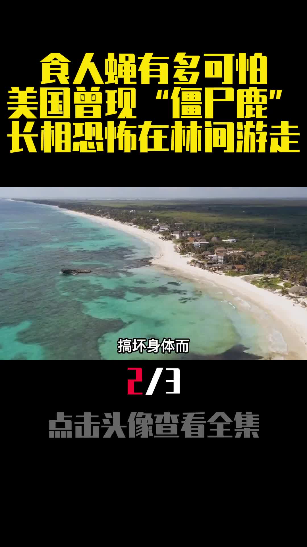 食人蝇有多可怕美国曾现僵尸鹿长相恐怖在林间游走2