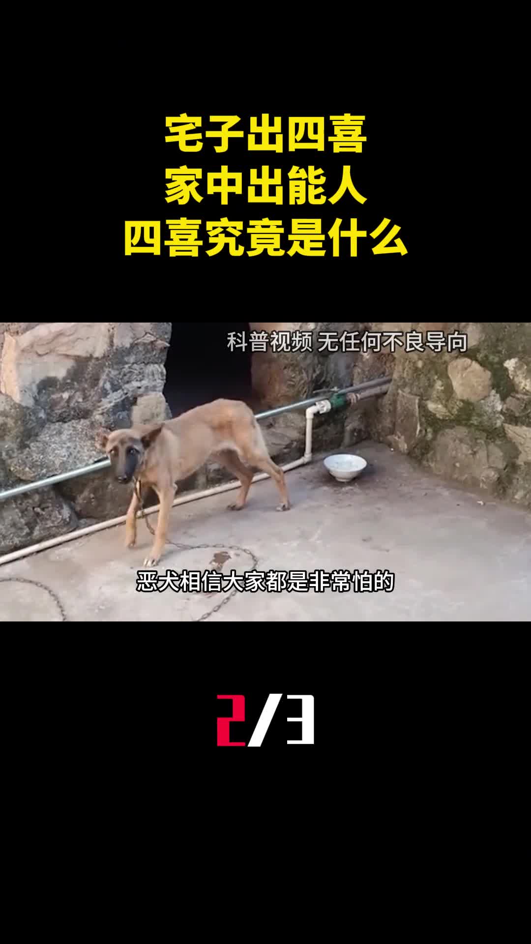 老话说宅子出四喜家中出能人四喜究竟是什么有啥道理2