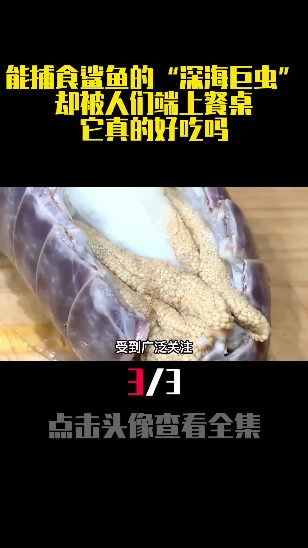 能捕食鲨鱼的深海巨虫却被人们端上餐桌它真的好吃吗3
