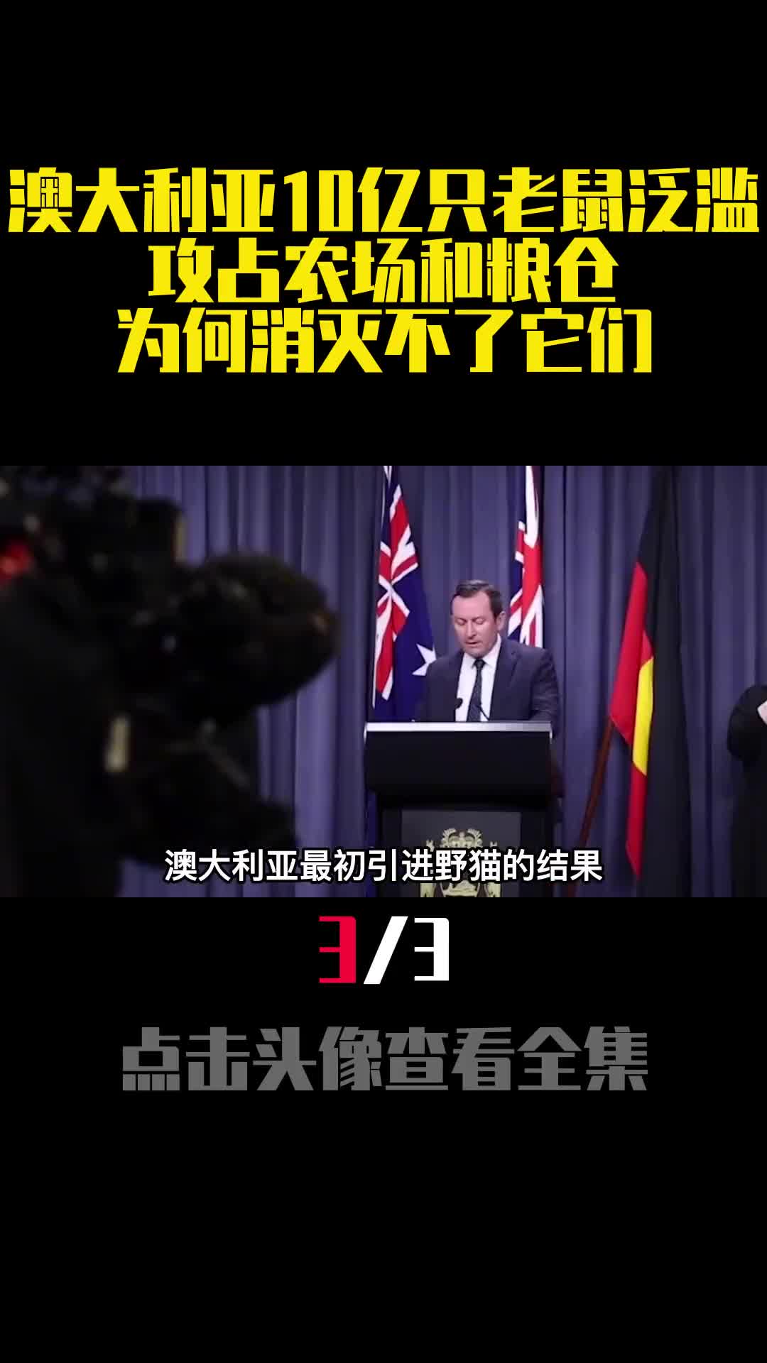 澳大利亚10亿只老鼠泛滥攻占农场和粮仓为何消灭不了它们3