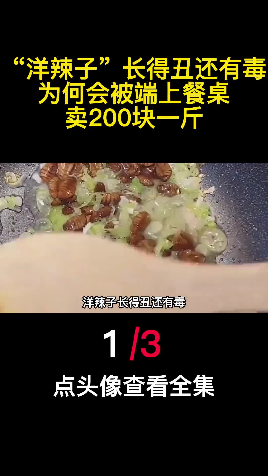 洋辣子长得丑还有毒为何会被端上餐桌卖200块一斤1