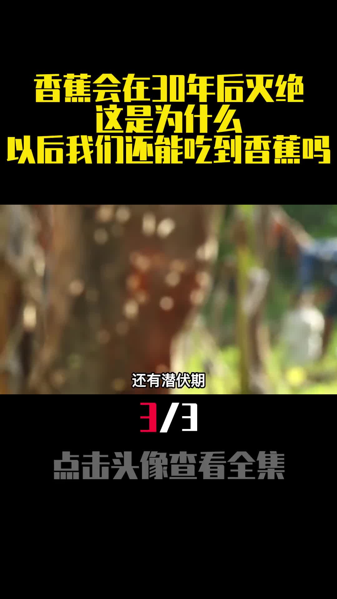 香蕉会在30年后灭绝这是为什么以后我们还能吃到香蕉吗3