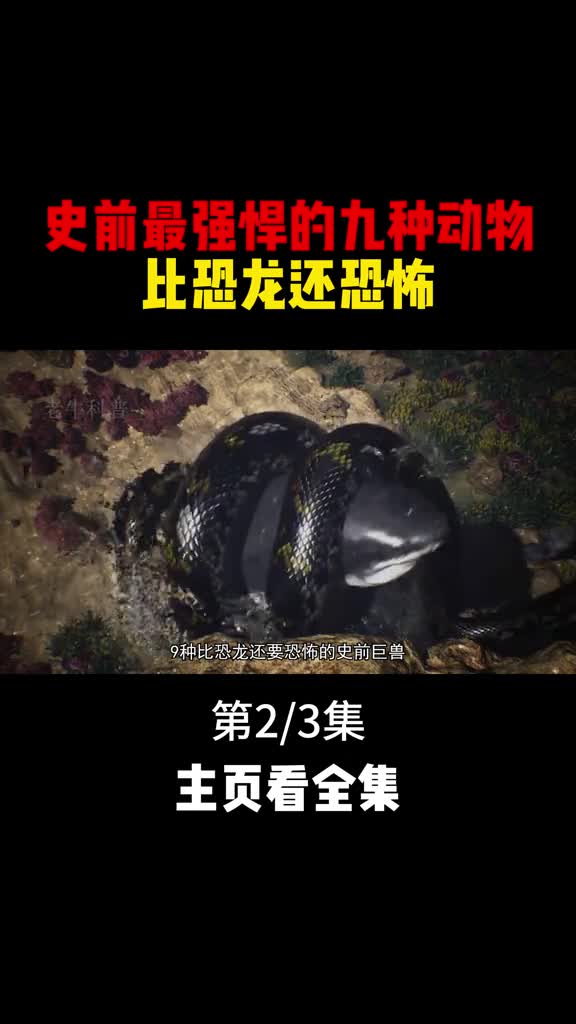 史前最强悍的九种动物比恐龙还要恐怖2
