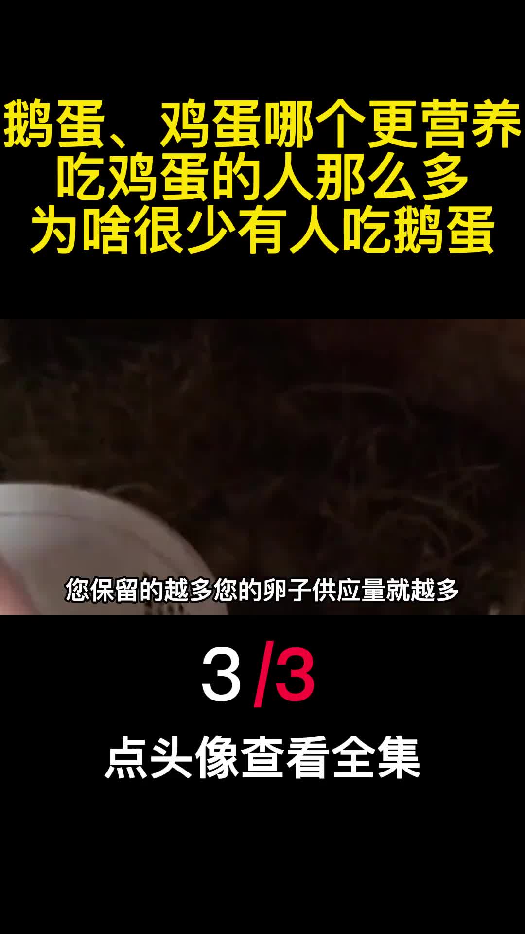 鹅蛋鸡蛋哪个更营养吃鸡蛋的人那么多为啥很少有人吃鹅蛋3