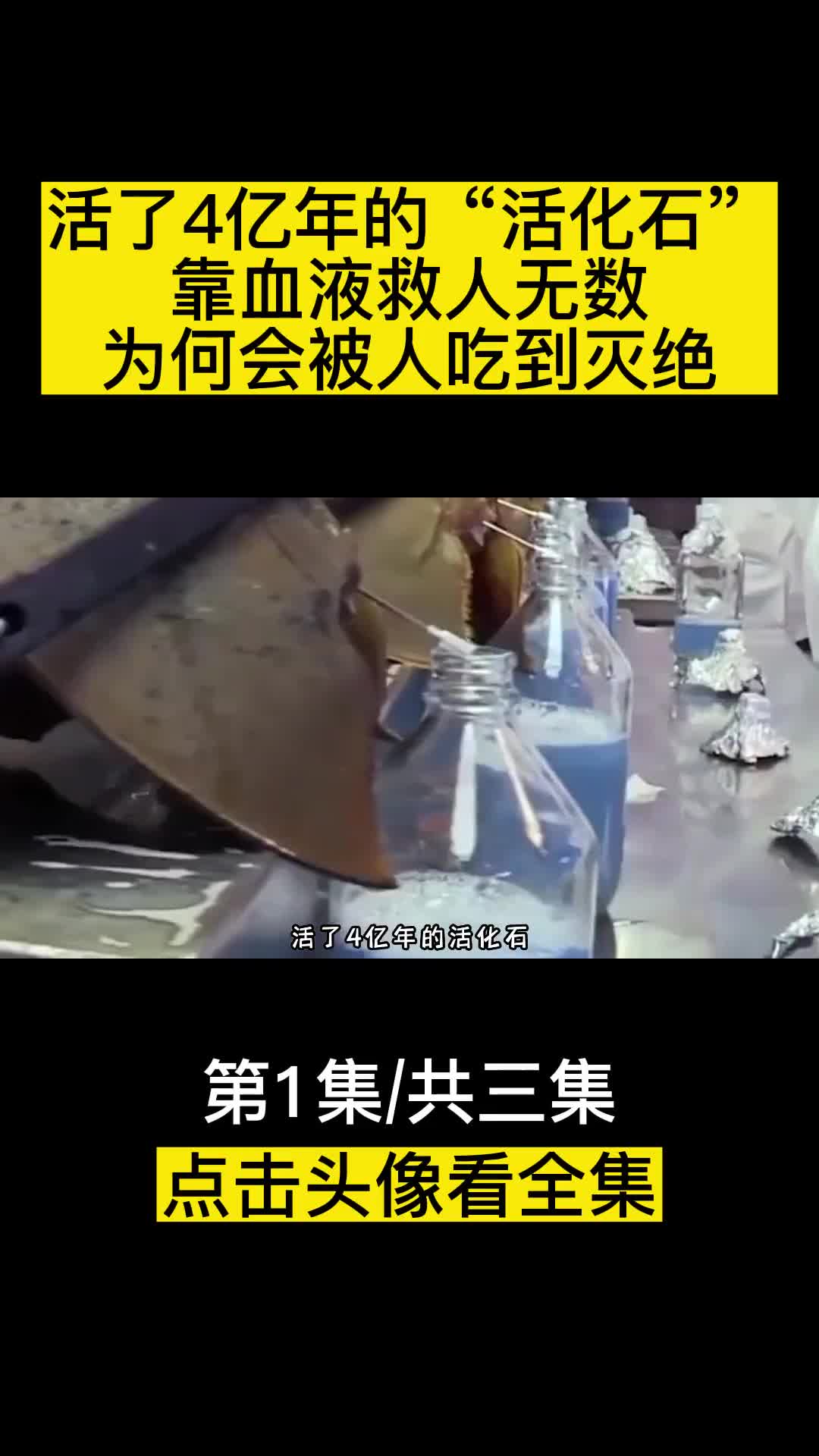 活了4亿年的活化石靠血液救人无数为何会被人吃到灭绝
