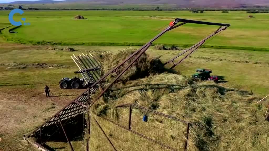 不可思议的干草电梯把干草堆积成数米高的草垛