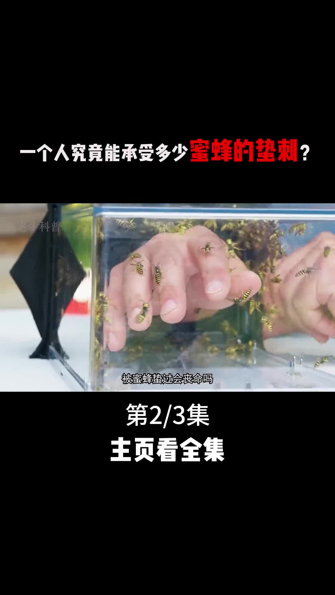 被蜜蜂蛰过会导致死亡吗一个人究竟能承受多少只蜜蜂的毒刺2