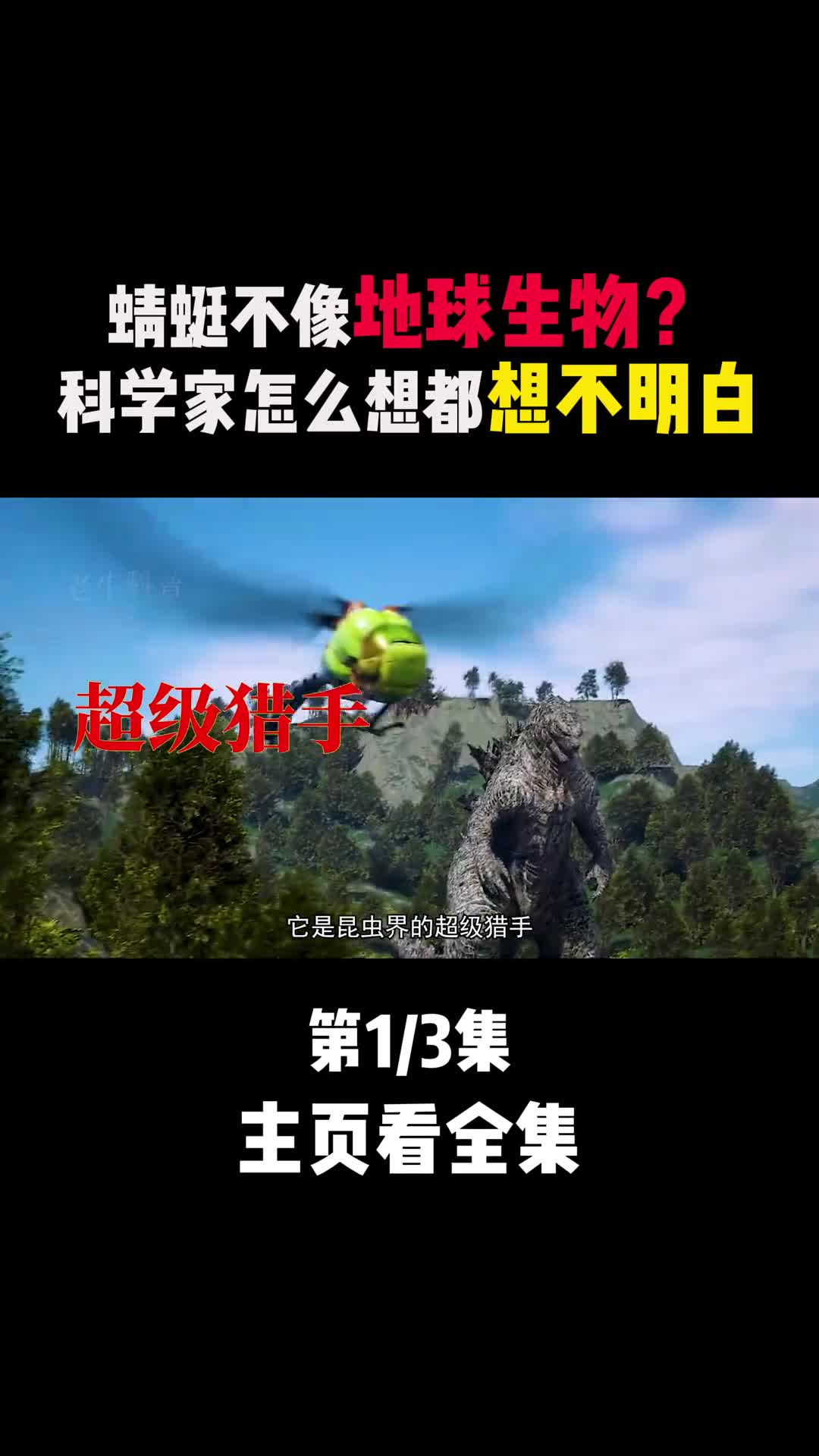 制霸空中几亿年的超级猎手浑身上下散发黑科技魅力