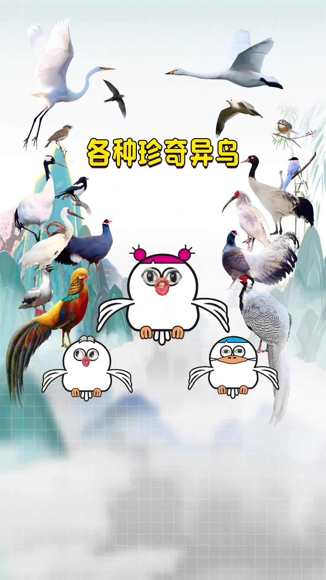 盘点全国各省的省鸟你的家乡有啥鸟