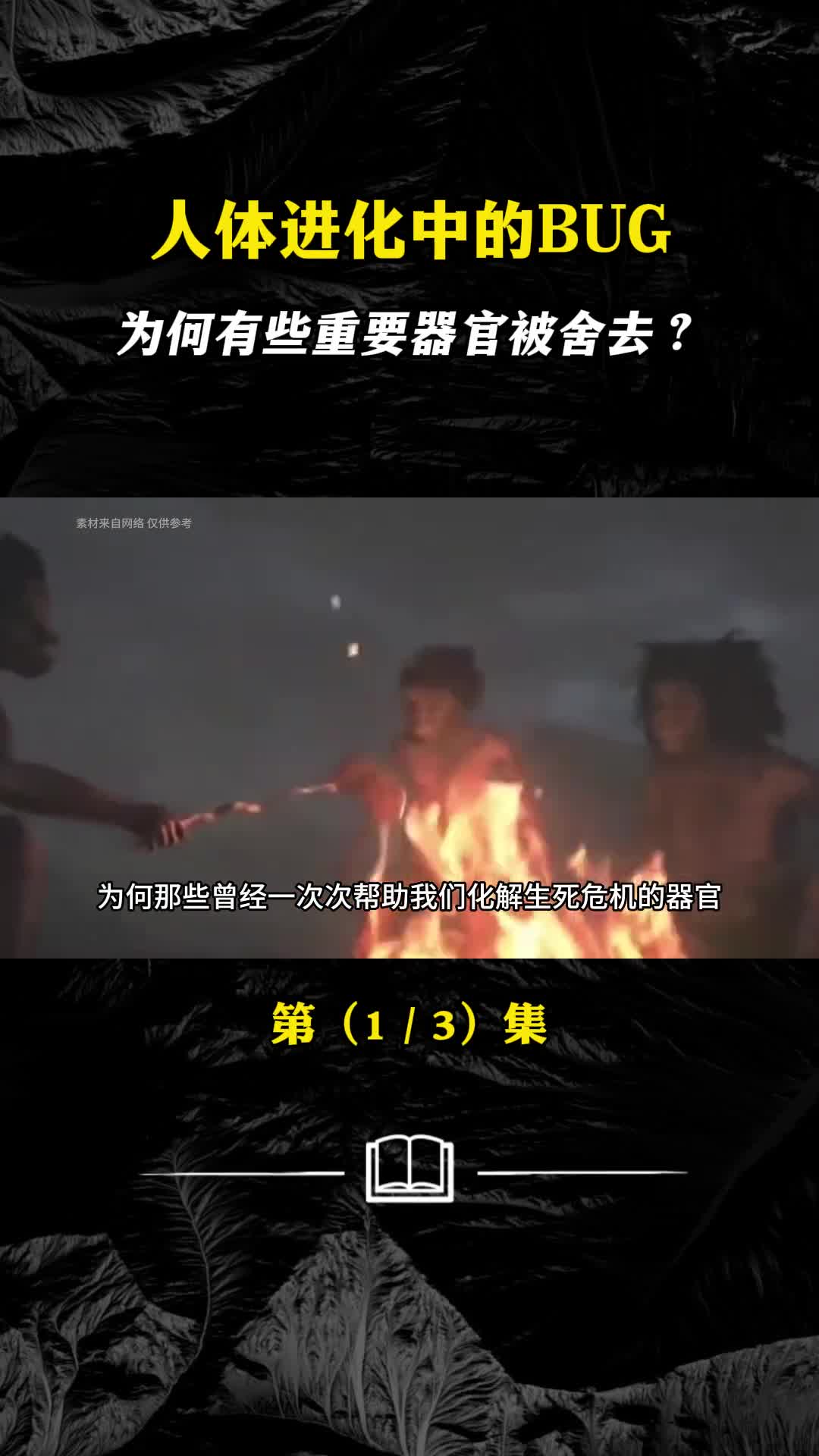 人体进化中的BUG为何有些重要的器官会被舍去