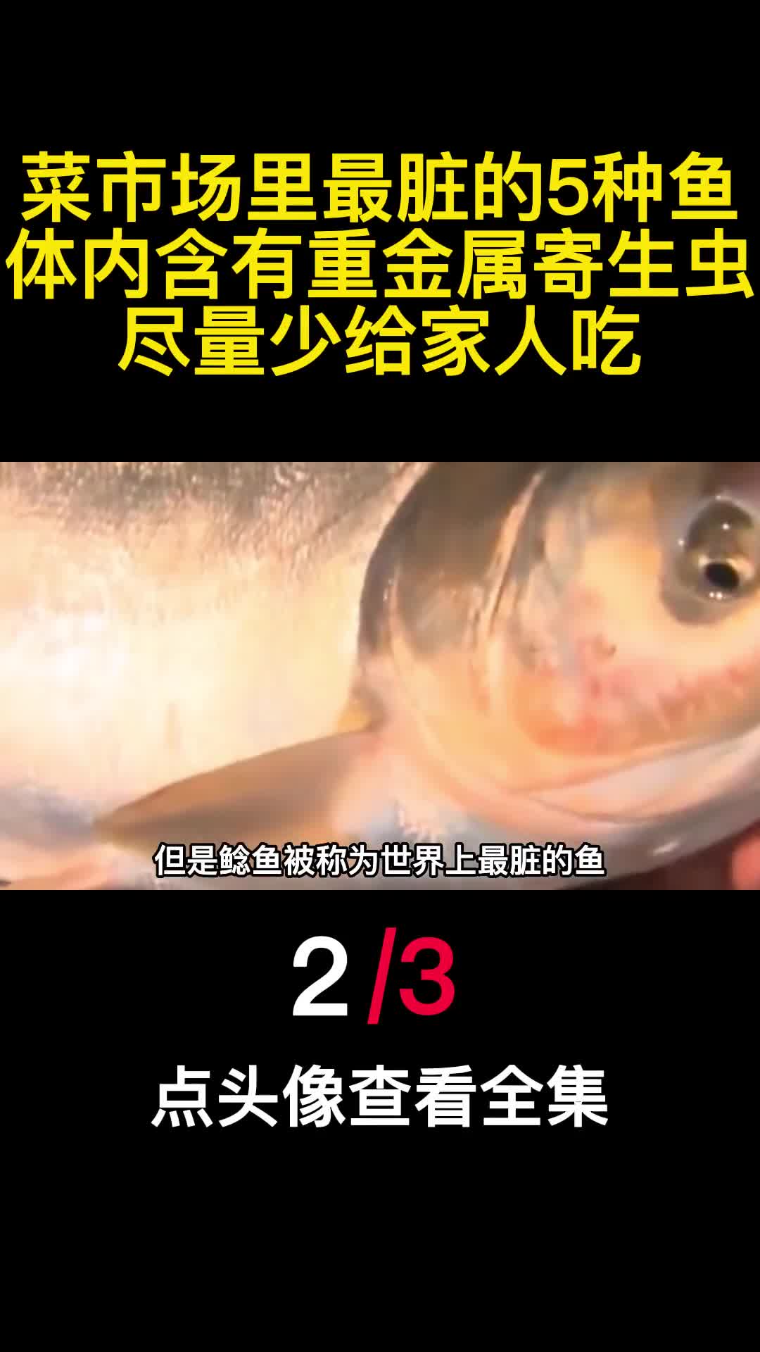 菜市场里最脏的5种鱼体内含有重金属寄生虫尽量少给家人吃2