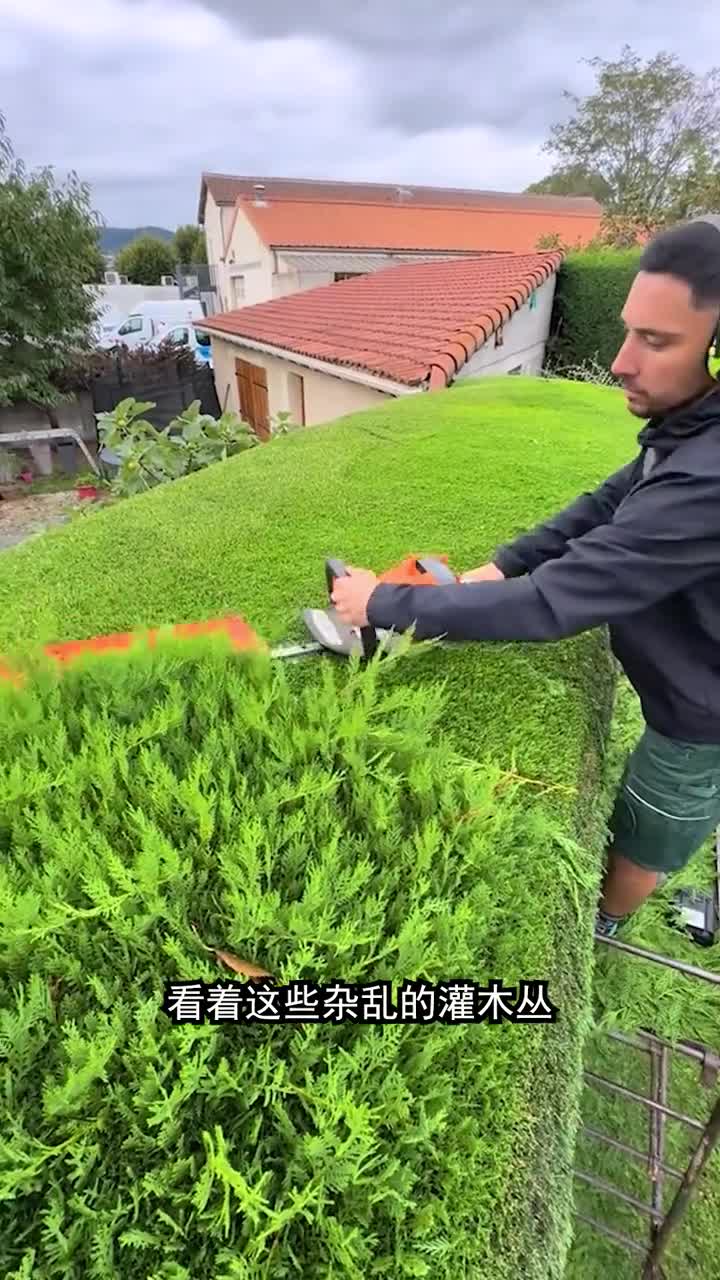 修剪绿色植物简直太解压了
