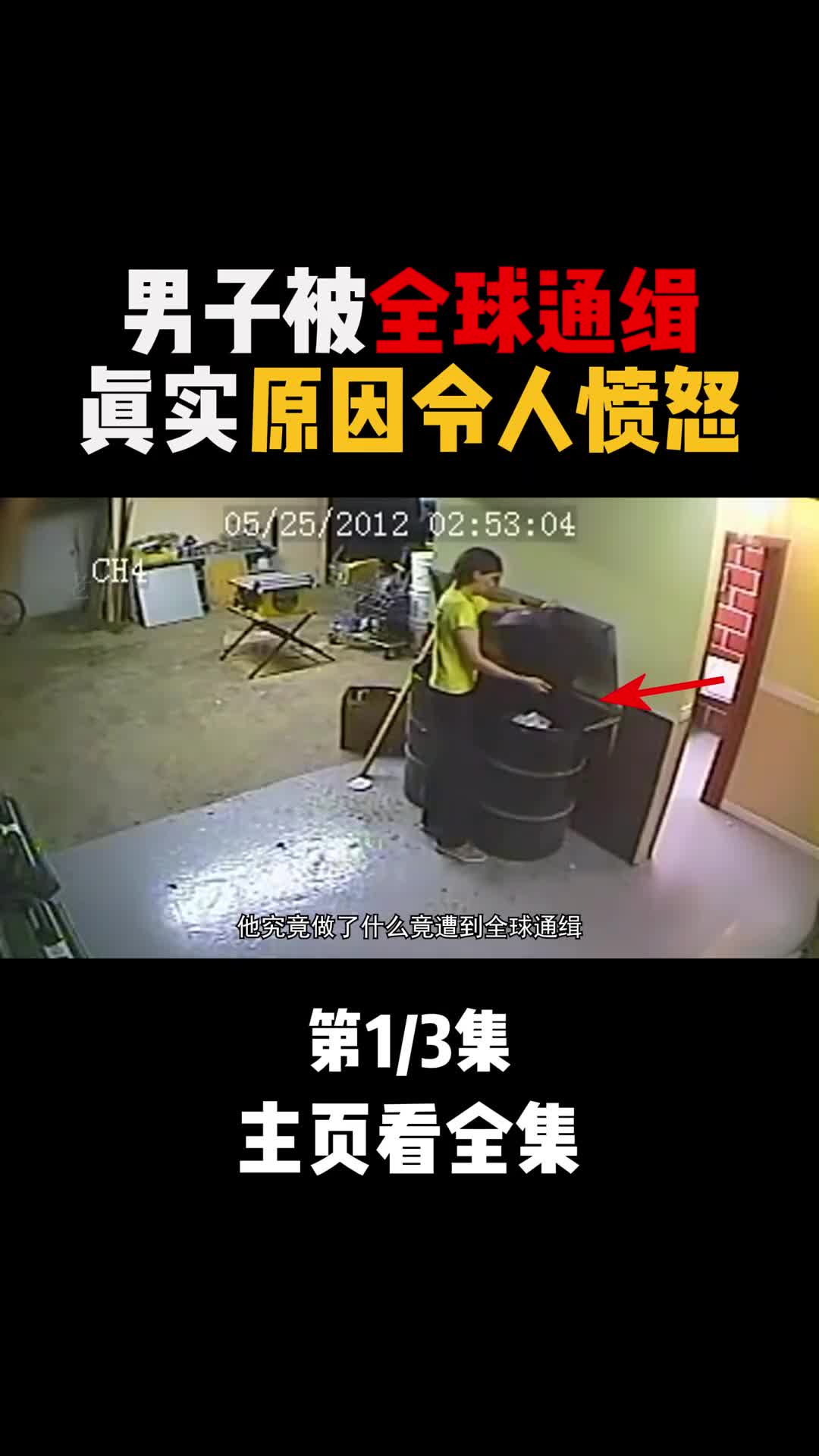 网友意外揪出杀人凶手起因竟是一只猫咪作案心思细思极恐