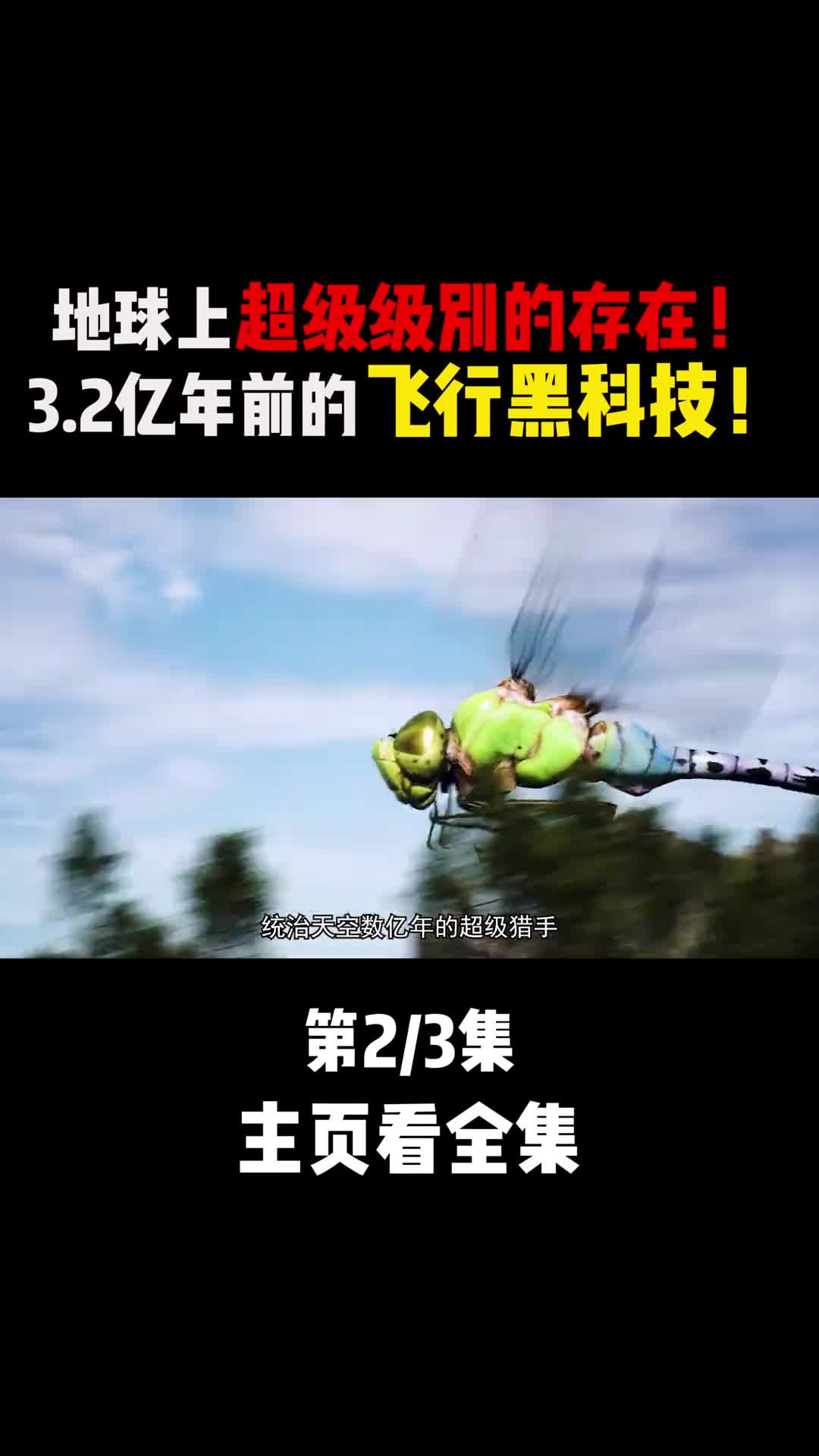 制霸空中几亿年的超级猎手浑身上下散发黑科技魅力