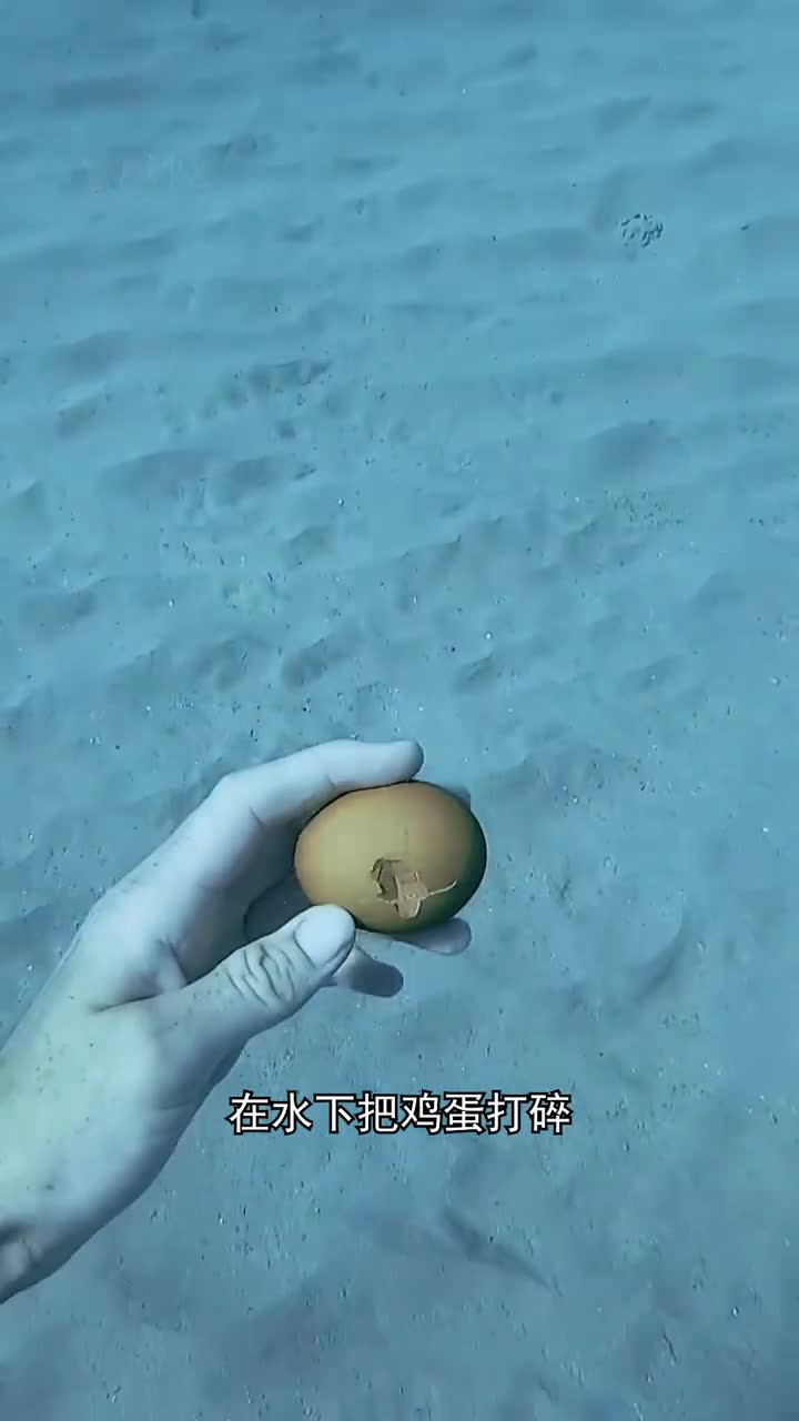 在水下把鸡蛋打碎会发生什么