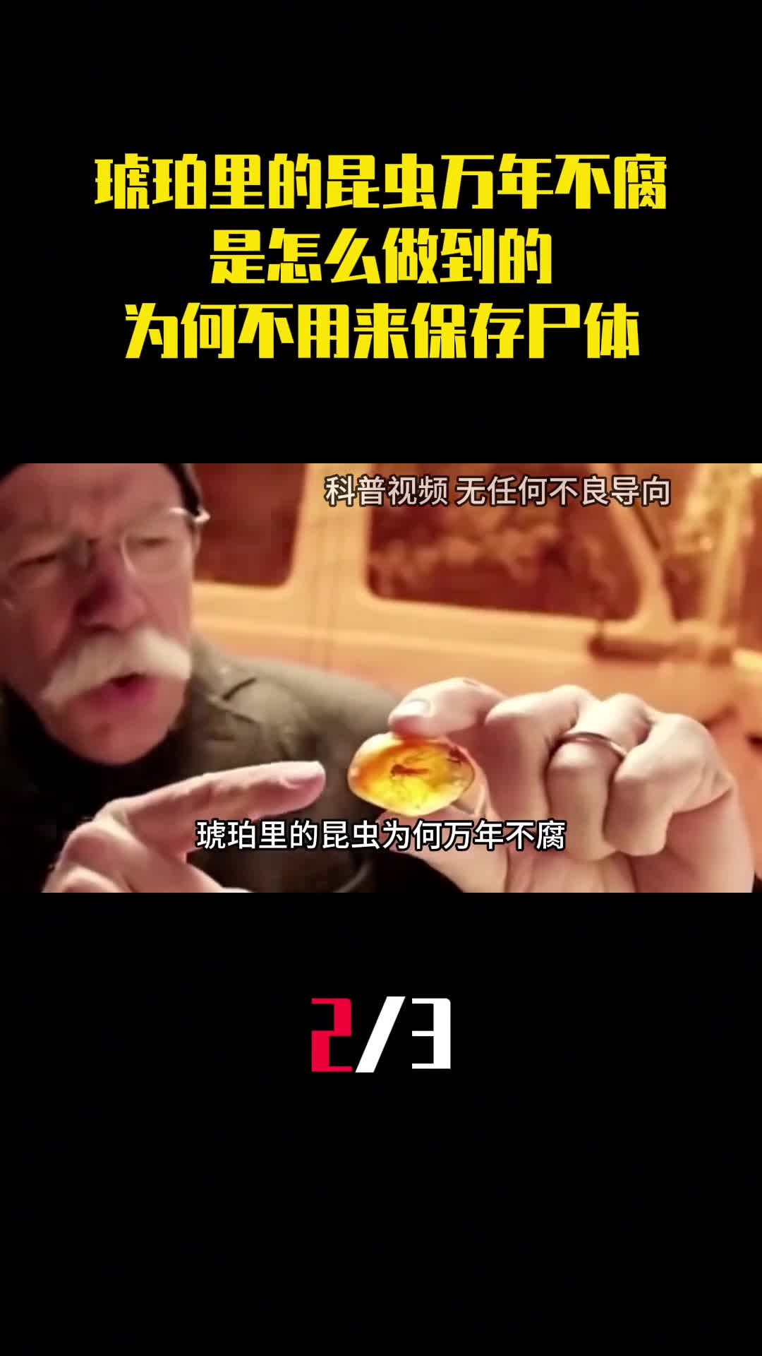 琥珀里的昆虫万年不腐是怎么做到的古人为何不用来保存尸体2