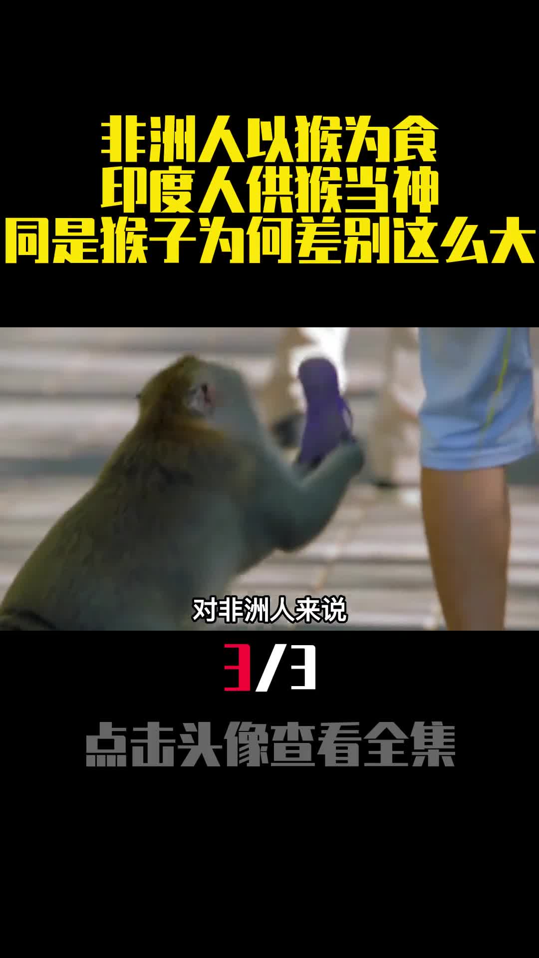 非洲人以猴为食印度人供猴当神同是猴子为何差别这么大3