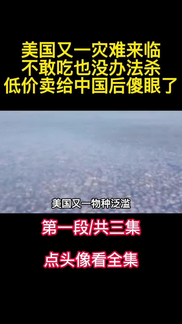 美国又一灾难来临不敢吃也没办法杀低价卖给中国后傻眼了1