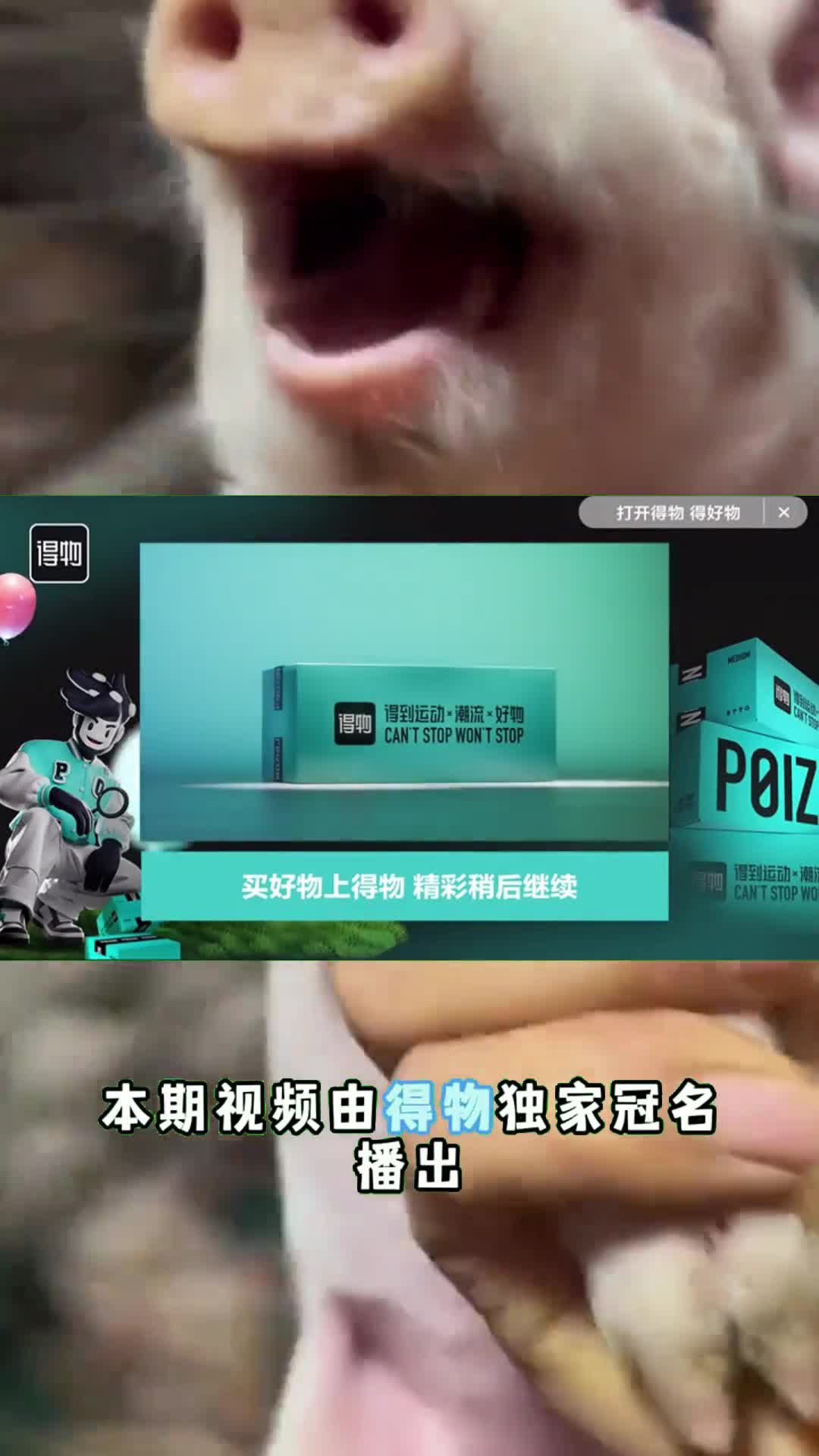 美国猪肉为何这么便宜一斤才卖4元看完养殖加工过程就明白2