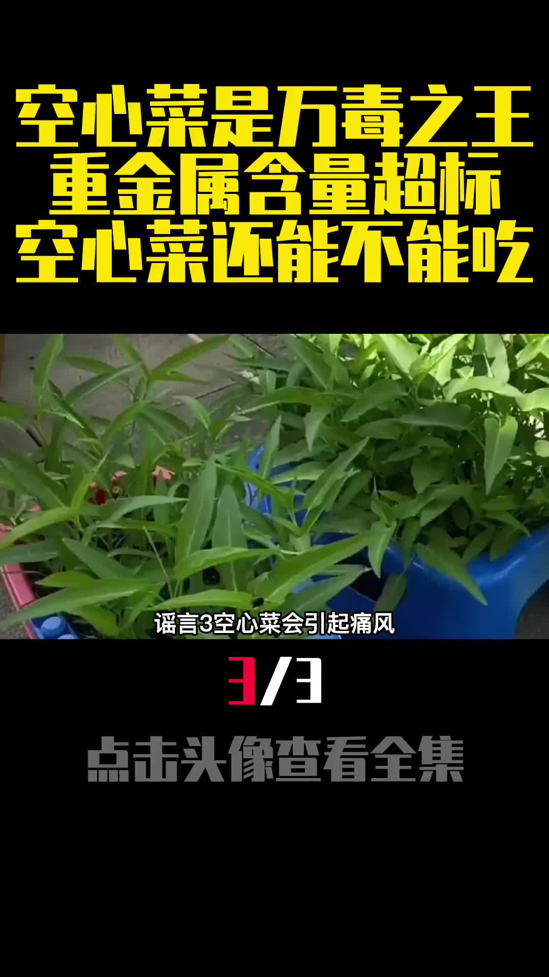空心菜是万毒之王重金属含量超标空心菜还能不能吃3