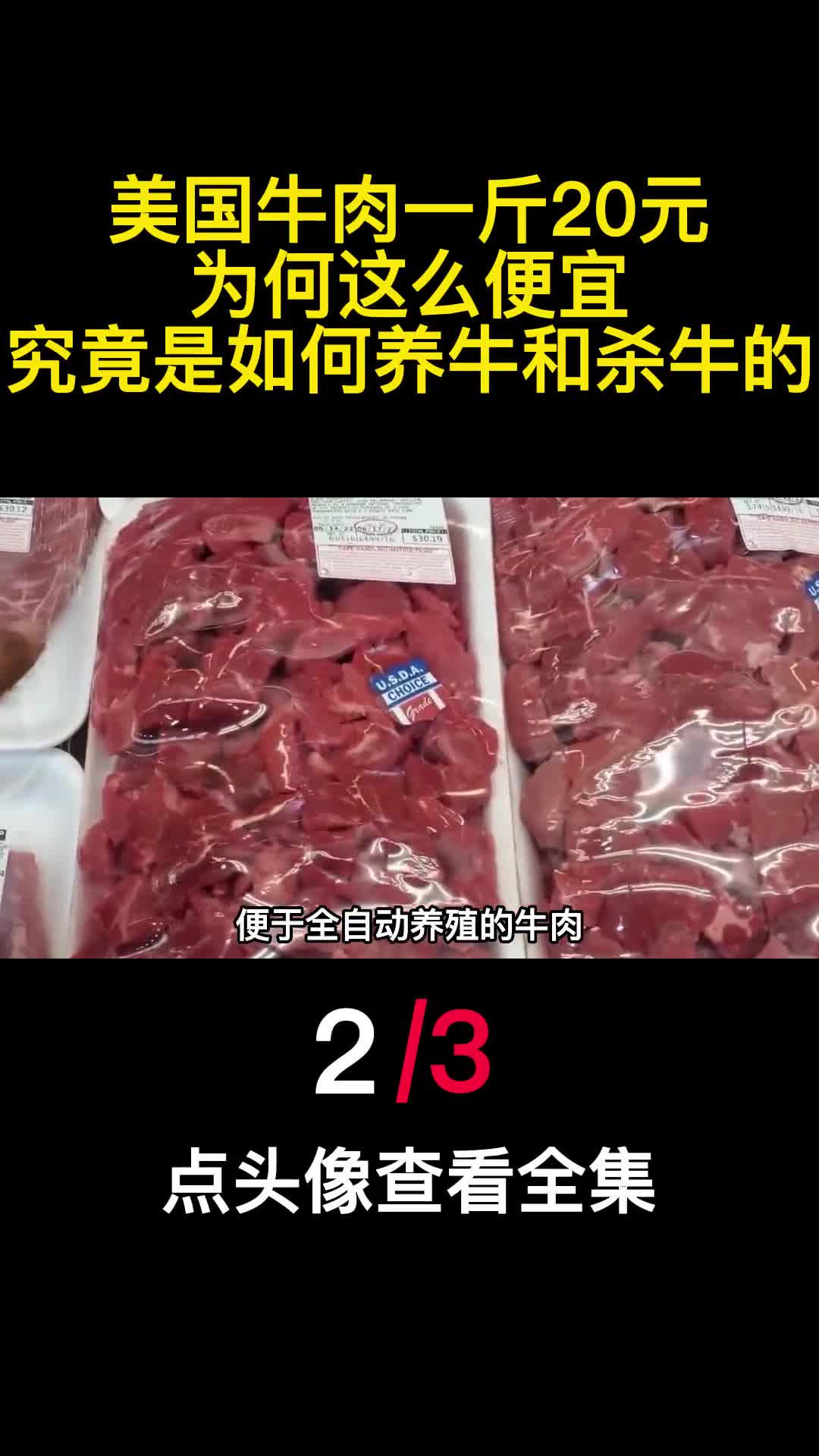 美国牛肉一斤20元为何这么便宜究竟是如何养牛和杀牛的2