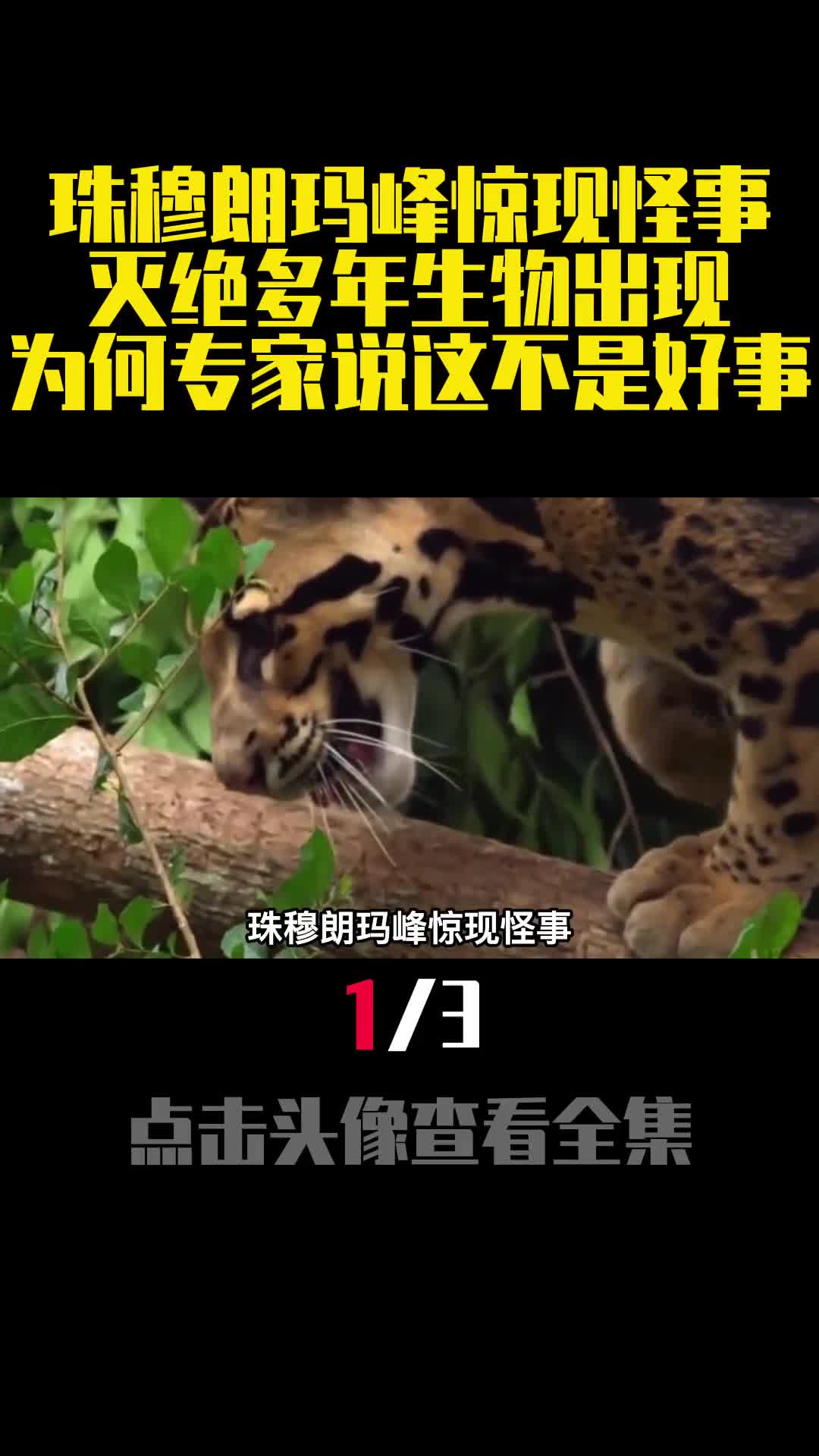 珠穆朗玛峰惊现怪事灭绝多年生物出现为何专家说这不是好事1