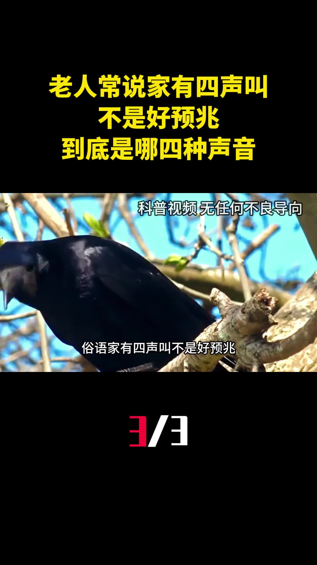 老人常说家有四声叫不是好预兆到底是哪四种声音3