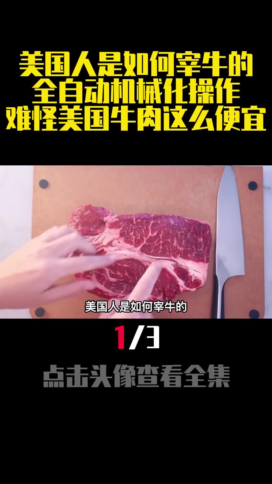 美国人是如何宰牛的全自动机械化操作难怪美国牛肉这么便宜1