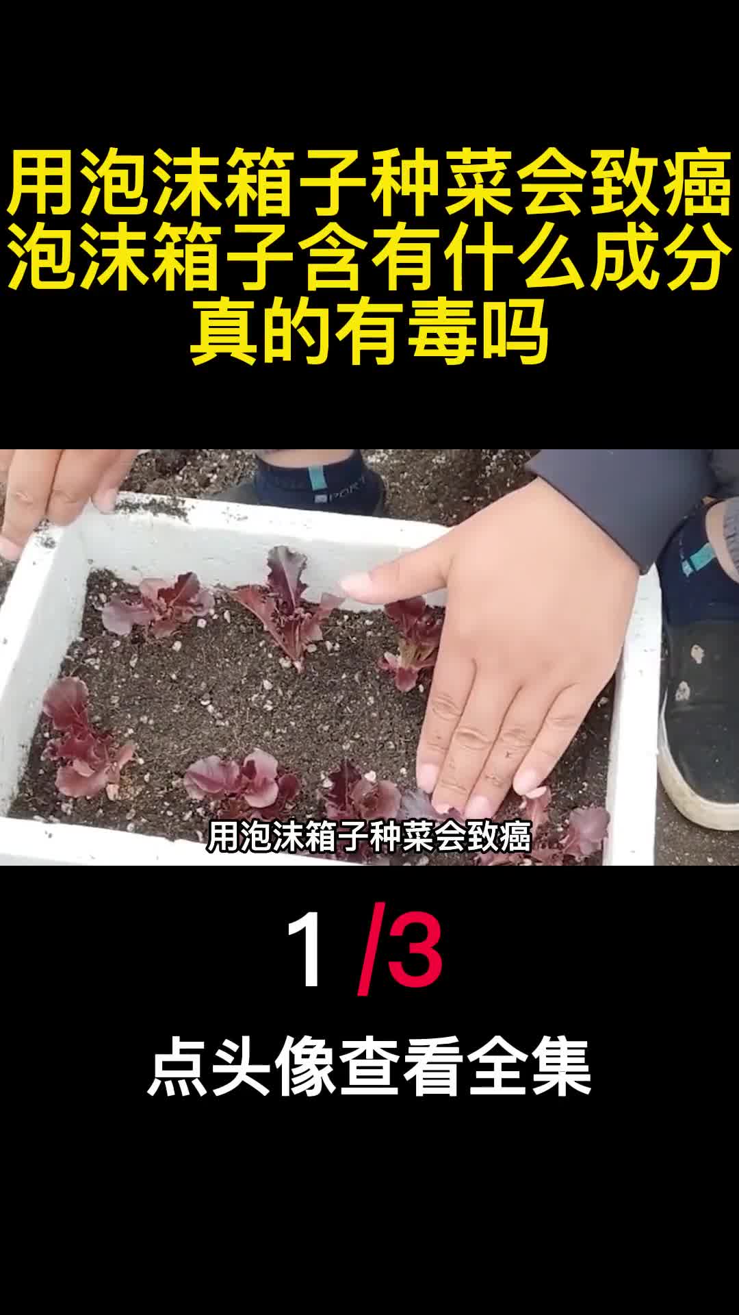 用泡沫箱子种菜会致癌泡沫箱子含有什么成分真的有毒吗1