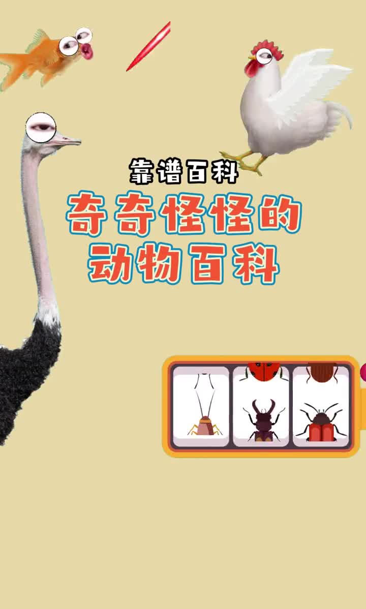 奇怪动物百科1