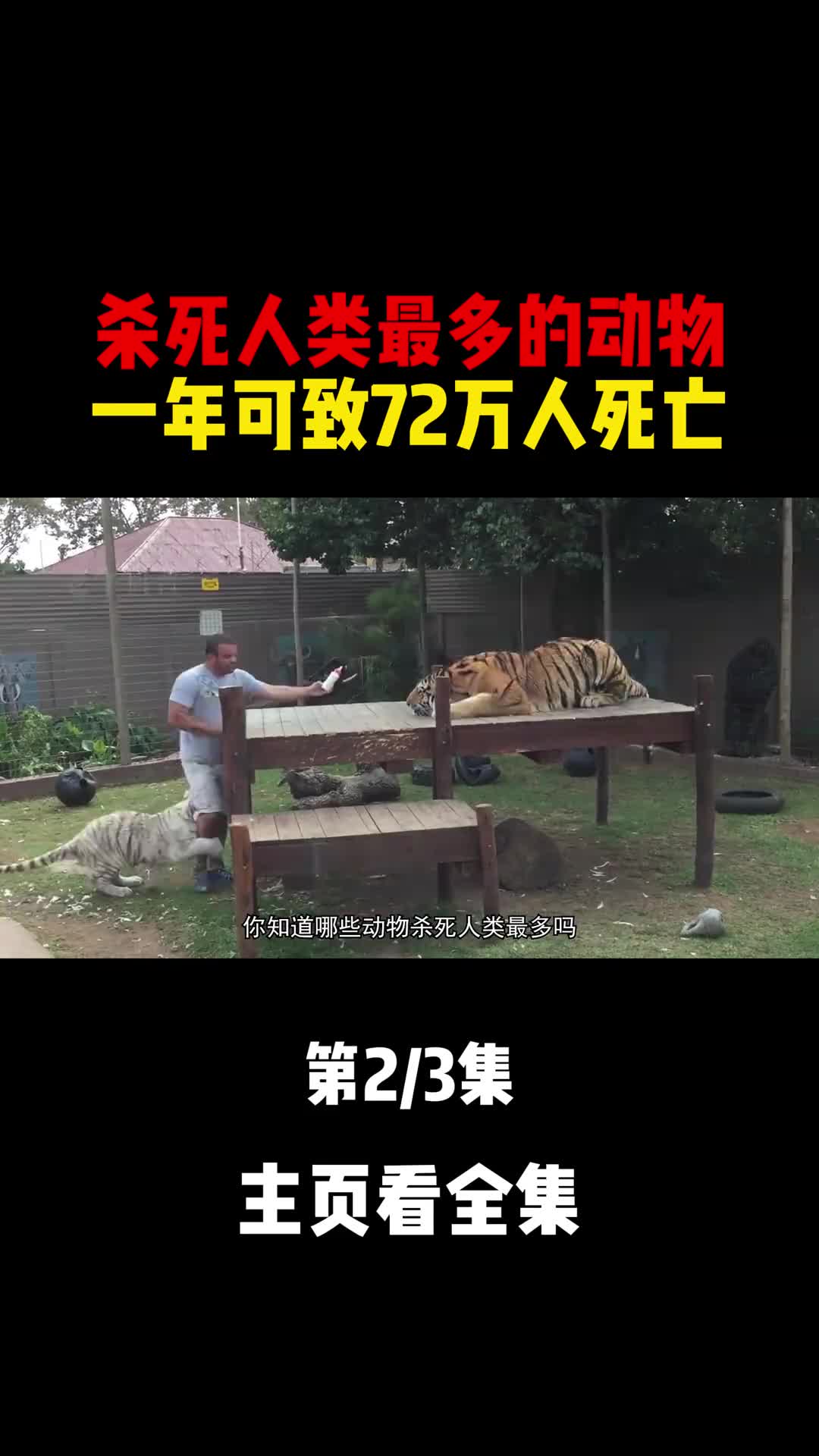 每年约有120万人死于动物之手我们不得不提高警惕远离危险