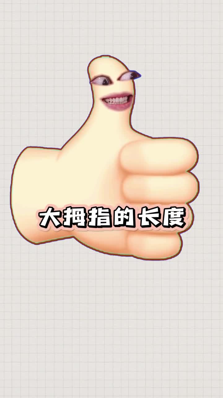 人体比例冷知识