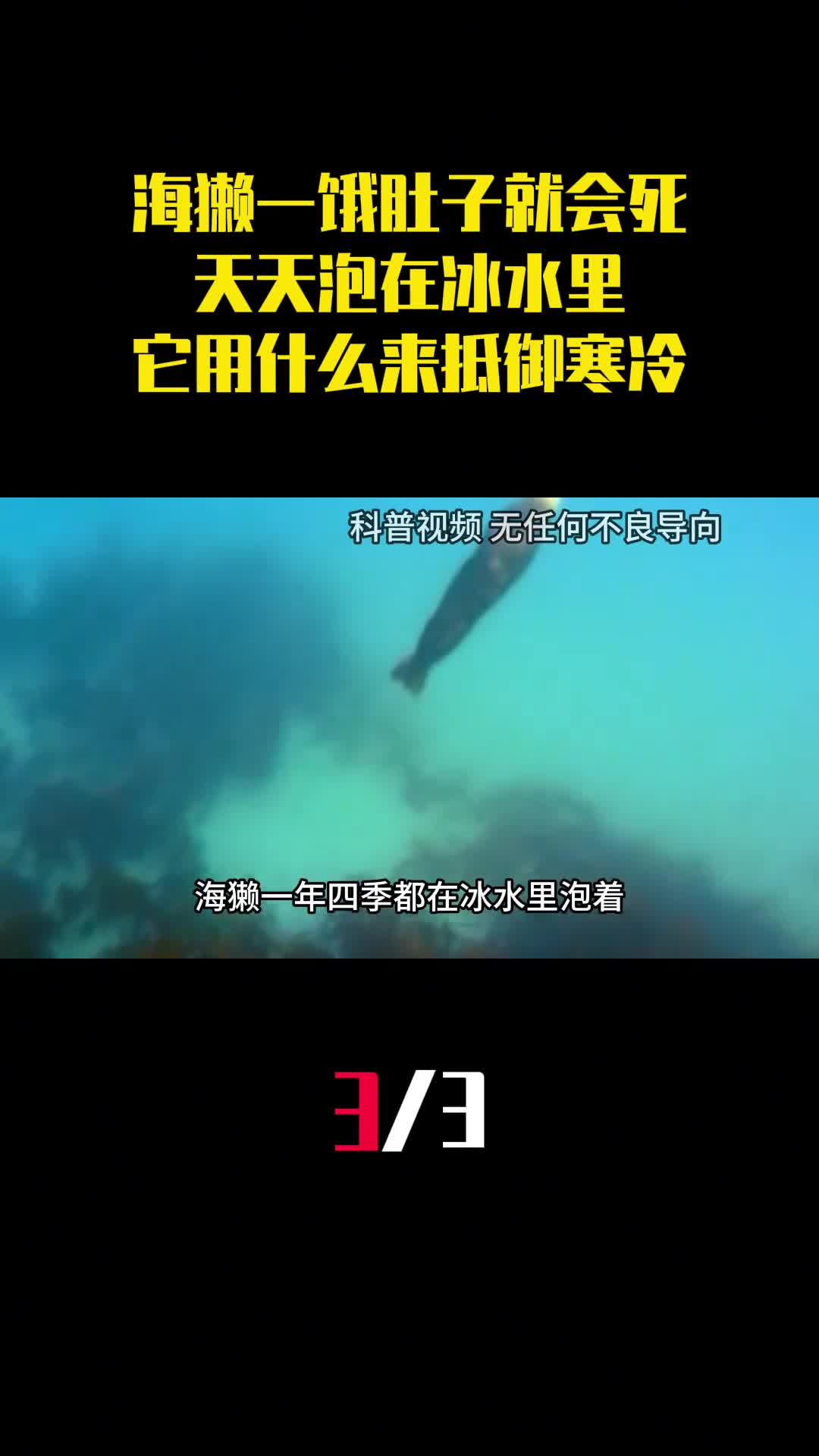 海獭一饿肚子就会死天天泡在冰水里它用什么来抵御寒冷3
