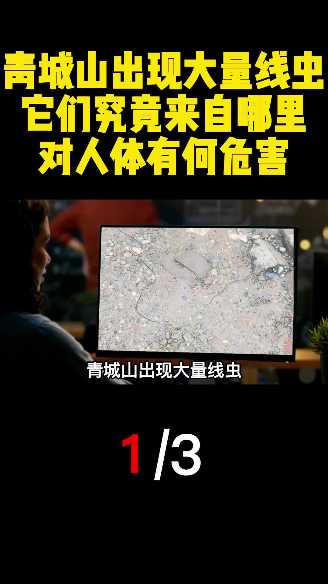 青城山出现大量线虫它们究竟来自哪里对人体有何危害1