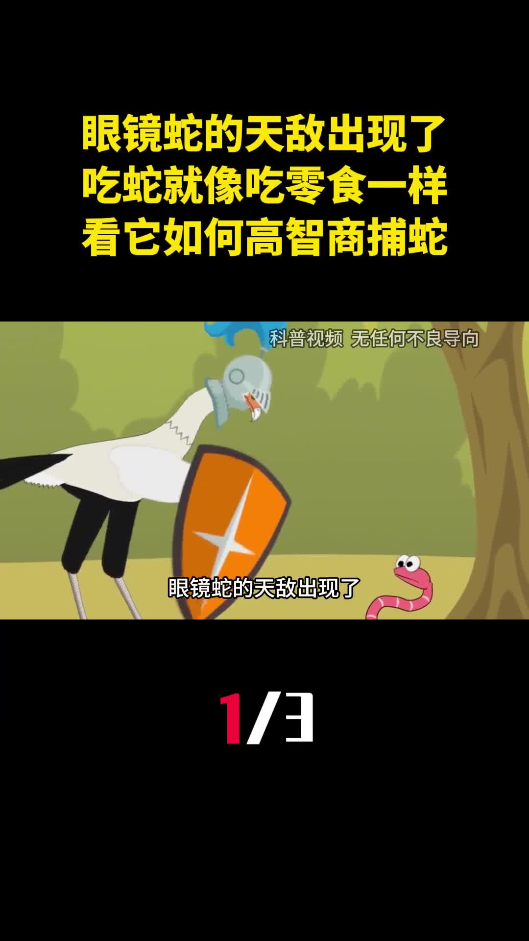 眼镜蛇的天敌出现了吃蛇就像吃零食一样看它如何高智商捕蛇1