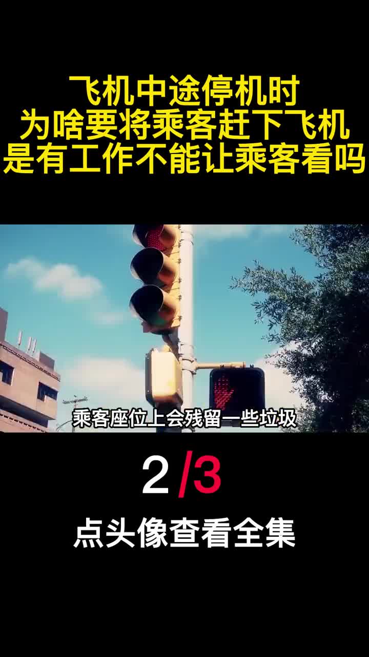 飞机中途停机时为啥要将乘客赶下飞机是有工作不能让乘客看吗2