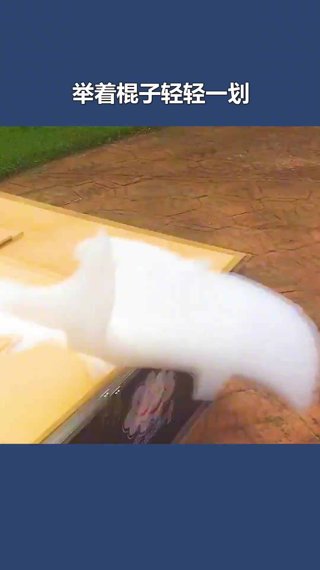 不可思议的漂浮泡沫云把自定义的泡沫送上天能飘数公里远