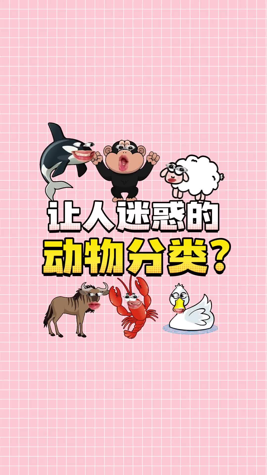 原来99的人都搞错这些动物的属性了