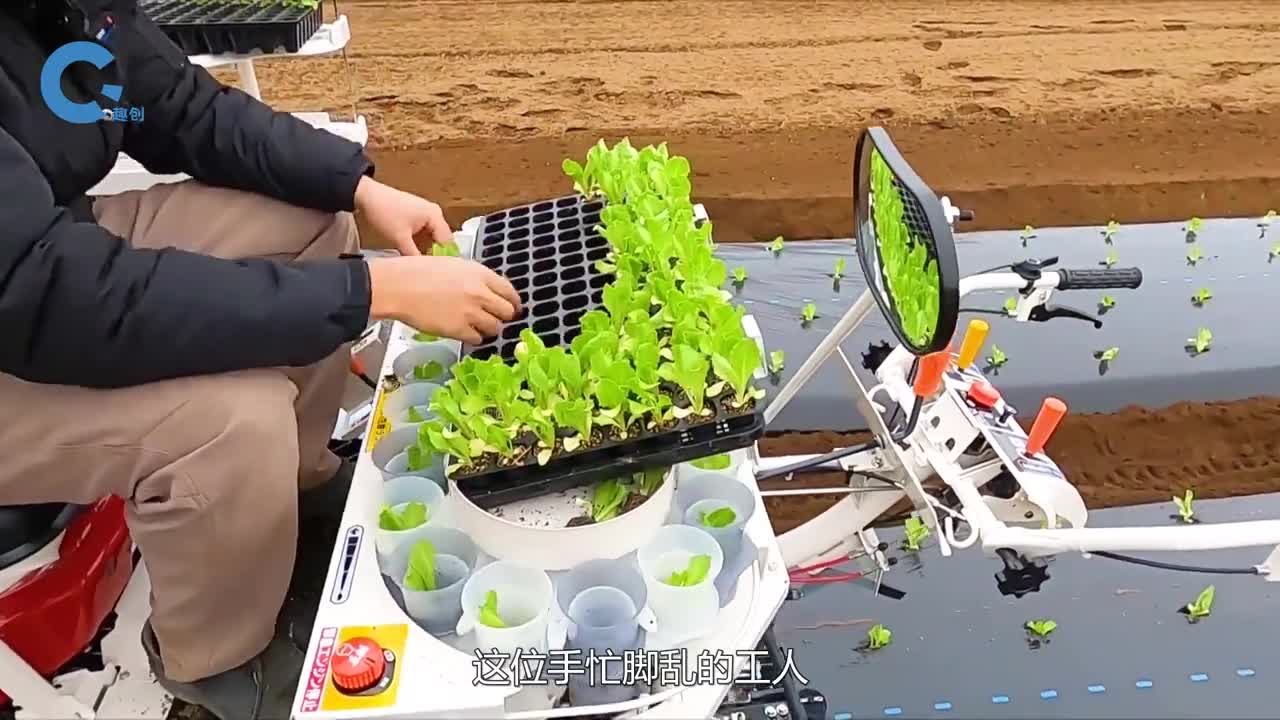 不可思议的秧苗移植机一次性种植四排秧苗