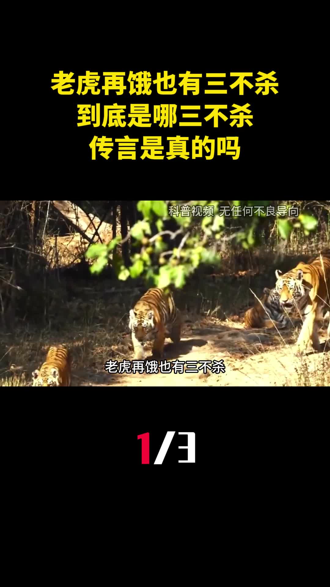 老虎再饿也有三不杀到底是哪三不杀传言是真的吗1