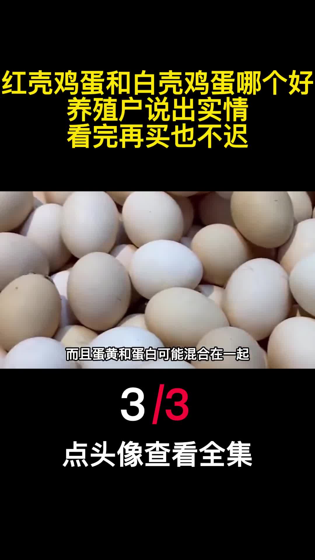 红壳鸡蛋和白壳鸡蛋哪个好养殖户说出实情看完再买也不迟3