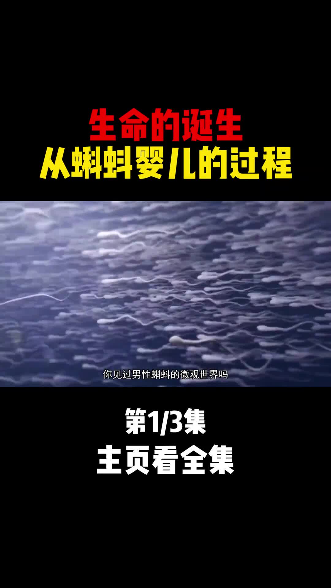 生命的诞生从蝌蚪婴儿的过程